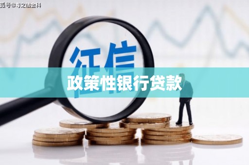 罗甸政策性银行贷款