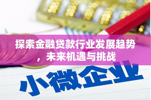 维西探索金融贷款行业发展趋势，未来机遇与挑战